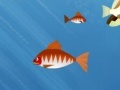 Gioco Hungry Piranha