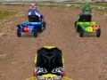 Gioco Lawnmower Racing 3D