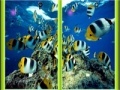 Gioco Underwater Similarities