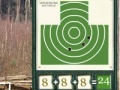 Gioco Sharpshooter. The pistol.