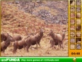Gioco Hidden Spots Animals