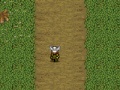 Gioco The viking king