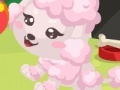 Gioco Poodle care