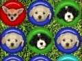 Gioco Cute puppy match