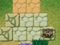Gioco Troglodytes - 2