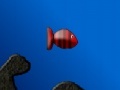 Gioco Big fish