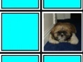 Gioco In memory: puppies