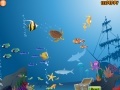 Gioco Ocean world decor