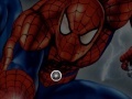 Gioco Spider-Man and The Web