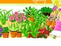 Gioco Garden design