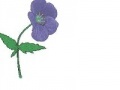 Gioco Bee Believes Flowers
