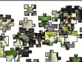 Gioco Jigsaw: Raccoons