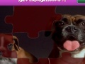 Gioco Jigsaw world puppies