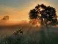 Gioco Sunset