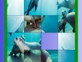 Gioco Ocean and seals slide puzzle