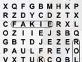 Gioco Skater Word Search