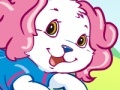 Gioco Dress Up Your Pet Dog