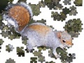Gioco Jigsaw: Posing Squirrel