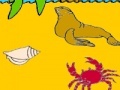 Gioco Seal in the beach coloring