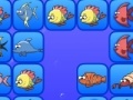 Gioco Fish connect