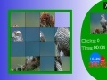 Gioco Japanese Sparrowhawk slide puzzle