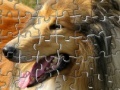 Gioco Pet Puzzles: Dogs
