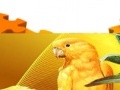 Gioco Two offended parrot puzzle