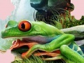 Gioco Puzzle Frog