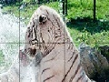 Gioco Spoiled tigers slide puzzle