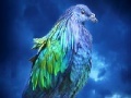 Gioco Lovely blue bird slide puzzle