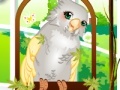 Gioco Cute parrot dress up