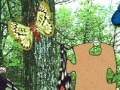 Gioco 3D Real Puzzle butterfly
