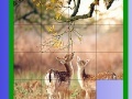 Gioco Two Deer Slide Puzzle