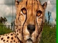 Gioco Big head cheetah slide puzzle