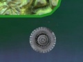 Gioco Alien wheel adventure