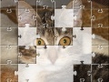 Gioco Jigsaw: The Kitten