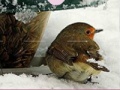 Gioco Little Bird And Snow Puzzle 