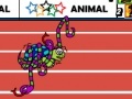 Gioco Animal Olympics - Hurdles