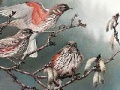 Gioco Birds on a tree slide puzzle