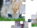 Gioco Jigsaw: Cat Hiding