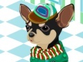 Gioco Pick up the suit for Chihuahua
