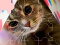Gioco Cat really cute 3 puzzle