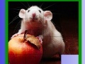 Gioco Puzzle: Apple and Mouse