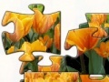 Gioco Tulip 2 jigsaw puzzle 