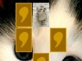 Gioco Cute cat memory