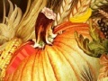 Gioco Thanksgiving turkey hidden objcet 