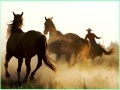 Gioco Cowboy Horses Sliding