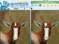 Gioco Gimme 5 Wildlife