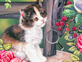 Gioco Hidden Numbers Cat