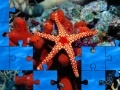 Gioco Starfish